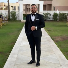 Amir Elhfnawy