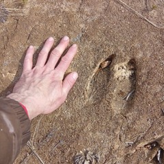 Дмитрий Пашукевич