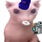 TECTY