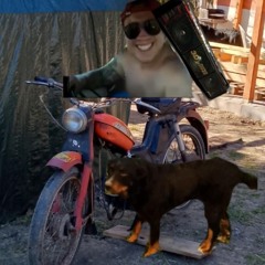 Piotłek_Z_komara🙂‍↔️