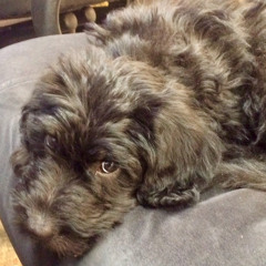 That Kid Named Isaac