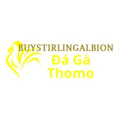Đá Gà Trực Tiếp Thomo