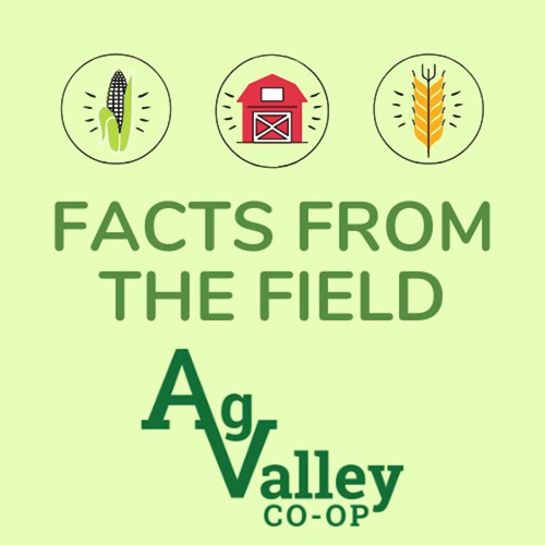 Ag Valley Co-op’s avatar