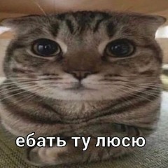 user32kbps