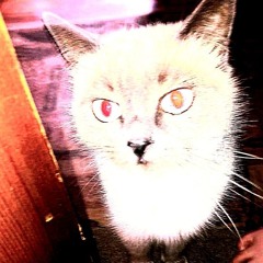 Sigmatary