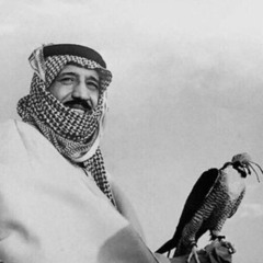 abo fayez