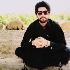 Sardar Faisal khan