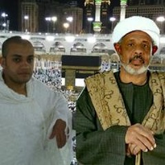 أحمد الانصارى
