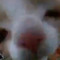 -W3R1DC4TL0VER!!-