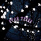 Startreez