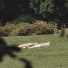 sleep forrest