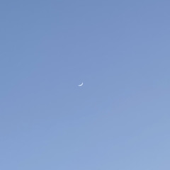 こんびにいきたい