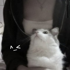 твоя девушка