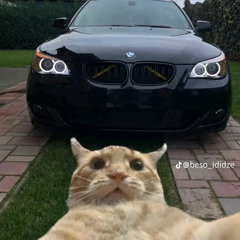 cenialex23