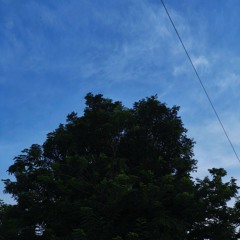 wis