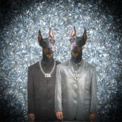 Trešā Stāva Apvienība (TSA)