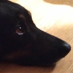 Vincent Vincenzo Sanchez