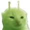 bbbappo
