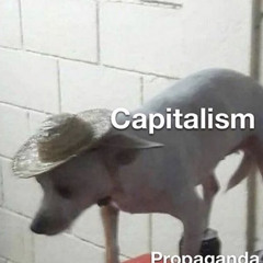 eggaficionado