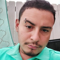 Luis Hernandez Yanez