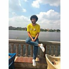 Mohamed Tarek
