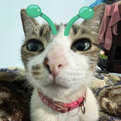 Selenyan