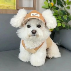 Wixdrinamcy drinamcy