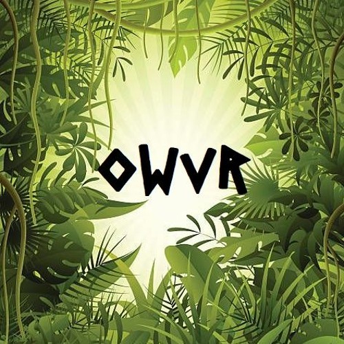 OWVR’s avatar