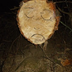 1000houseuser386484703