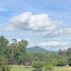 Rhyzion