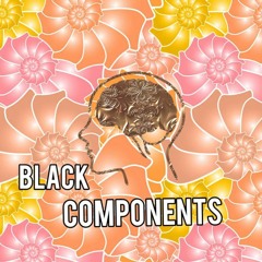Black Components
