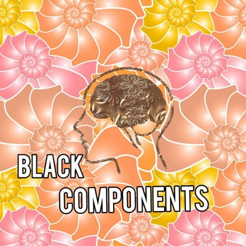Black Components’s avatar
