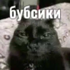 дырочёс