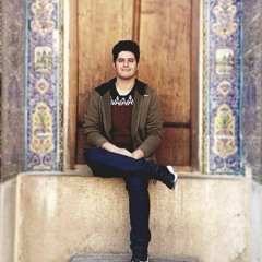 alireza fani