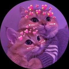 KITTY