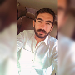 Sahibzada Waleed Awan