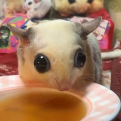 ☆kee☆
