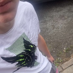 rmaylor