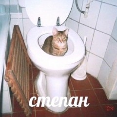 Владислав Иванаев