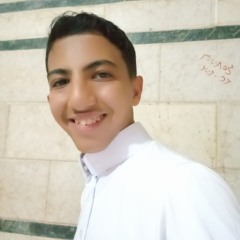 عبد الوهاب محمد السيد