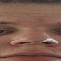 FajlFri