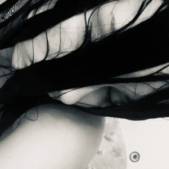 XANN
