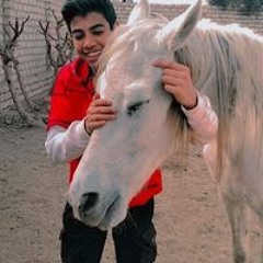 Zeyad Abualill