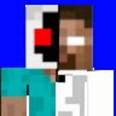 Herobrine 303