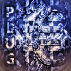 gua₽omata