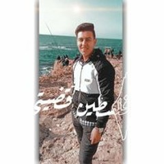 Alaa Abo Elshekh