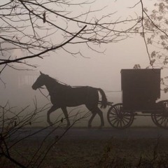 🕯• { 𝑀𝑎𝑒𝑙𝑎𝑛 } ◇