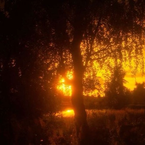 beat 5 (need better 808s)