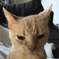 ☾︎♫︎𝕞𝕪 𝕤𝕚𝕟𝕘𝕚𝕟𝕘 𝕞𝕠𝕟𝕤𝕥𝕖𝕣𝕤 𝕤𝕠𝕟𝕘𝕤 𝕚 𝕝𝕚𝕜𝕖♫︎☽︎