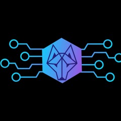 WolfloW Music